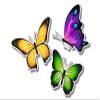 888 Graphics Butterflies Colorful Golf Hat Clip with Magnetic Ball Marker view 4