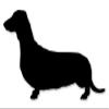 888 Graphics Dachshund Dog Breed Golf Hat Clip with Magnetic Ball Marker view 4