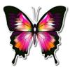 888 Graphics Beautiful Butterfly Colorful Golf Hat Clip with Magnetic Ball Marker view 4