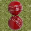 AnNafi Cricket Rubber Soft Balls for Practice A Grade Handstitched RED| Senior Official | Red Cricket Ball for Practice, Knocking & Training | Sports Leather Cricket Balls for Match (2) view 3