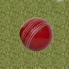 AnNafi Cricket Rubber Soft Balls for Practice A Grade Handstitched RED| Senior Official | Red Cricket Ball for Practice, Knocking & Training | Sports Leather Cricket Balls for Match (1) view 2