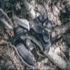 Smith & Wesson M&P Extreme Ops Karambit 8.5in S.S. Full Tang Fixed Blade Knife with 4in Tanto Point, G10 Handle and Finger Loop for Outdoor, Tactical, Survival and EDC , Black view 4
