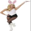 Rubies Mean Girls: Regina George Costume for Adults, Women's Medium White view 1