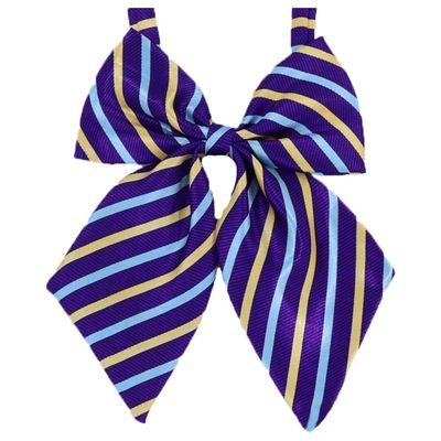 Flairs New York Women Handmade Pre-Tied Bowknot Bow Tie (Purple/Baby Blue/Gold [Stripes])