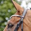John Whitaker Lynton Snaffle Bridle Pony Havana view 2