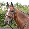 John Whitaker Lynton Snaffle Bridle Pony Havana view 3
