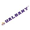 Desert Cactus University at Albany UALBANY Great Danes SUNY Name Logo Vinyl Decal Laptop Water Bottle Car Scrapbook (15 Inch Sticker) view 1