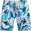 Abacos Swim Trunks, 18-20 view 1
