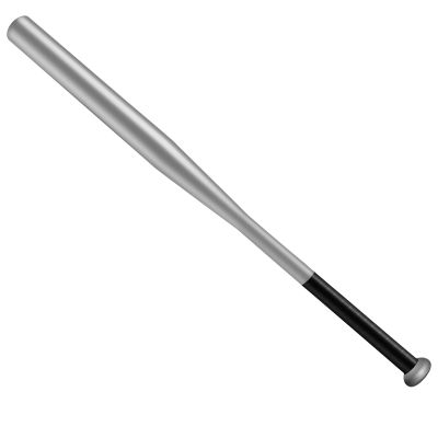 Tuggui Baseball Bat Steel with Carrying Bag (32 in, Silver)