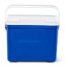 Chest Cooler,28.0 qt. Cap.,18" L view 2