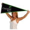 Cincinnati State Surge Pennant view 4