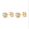 PAVOI CZ Halo Stud Earrings, 925 Silver, Yellow Gold, Size 6.35 Millimeters view 4