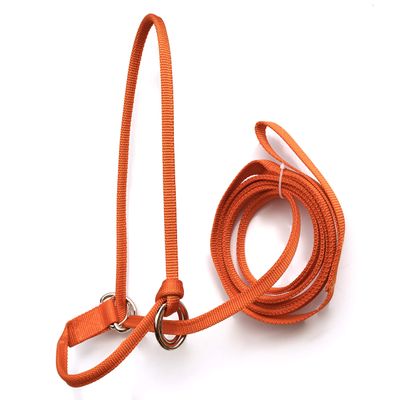 Halter-All Extra Small Miniature Mini Endless Adjustable Halter & Lead USA (Horse Halter) (Baby Blue)