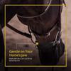 Kavallerie Gel Curb Chain Guard - Rectangular Black Chain Cover Made with Soft Elastic Gel to Protect The Jaw of Sensitive Horses Against Rubbing and Pinching, Perfect for English Curb Chains view 3