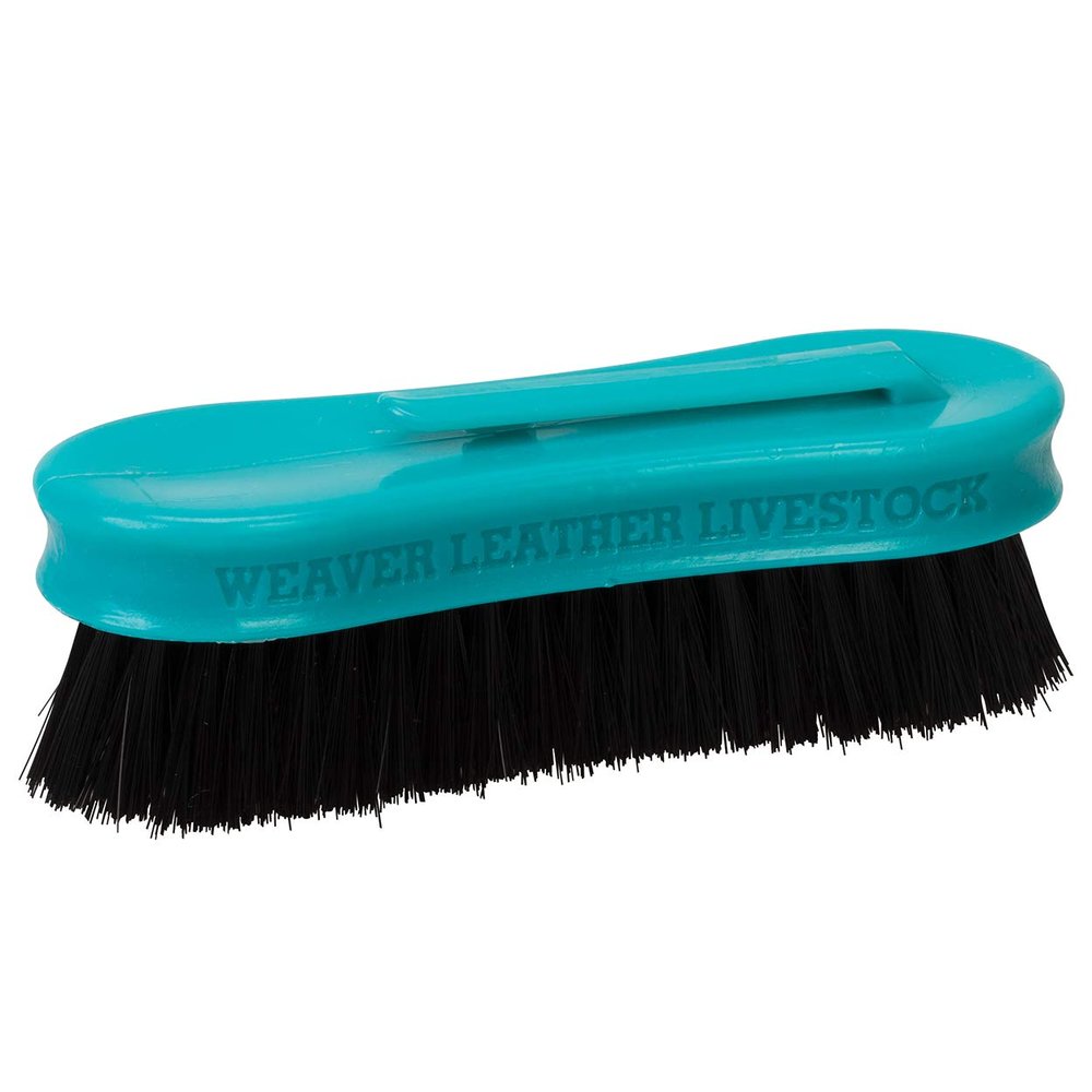 Tampico Pig Brush with Handle, Teal