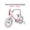 Segway Ninebot Kids Bike for Boys and Girls, 14 inch with Training Wheels, Pink view 2