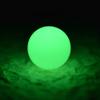 1000Pcs Fishing Beads Luminous Round Beads Plastic Fishing Tackle Beads for Night Fishing view 4