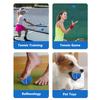 URBEST Tennis Balls, 12 Packs Training Tennis Balls Practice Balls for Novice Player, Pet Dog Playing Balls with Mesh Carry Bag (Navy Blue) view 4