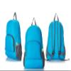 PAXLAMB Backpack Packable Foldable Ultra Lightweight Water Resistant Durable Camping Travel Hiking Daypack for Men Women (Blue) view 1