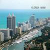Florida USA United States Acrylic Keychains KeyRings Holders (1 Piece, Style: Miami #FL69) view 2