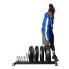 Fitness First Plate Storage view 2