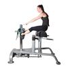 Fitness First Glute Ham Developer - Unisex Adult - Black - 63 x 40 x 45 inches view 2