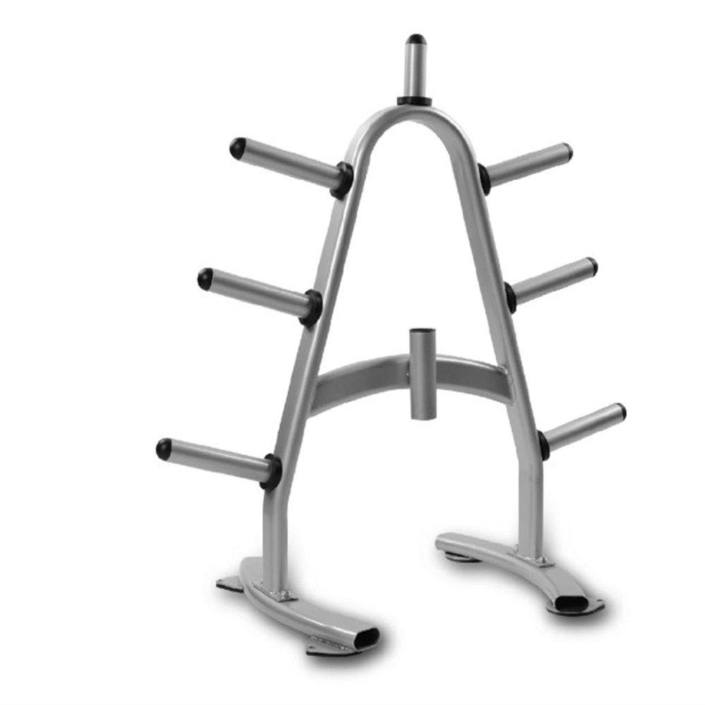 Fitness First Weight Plate Tree