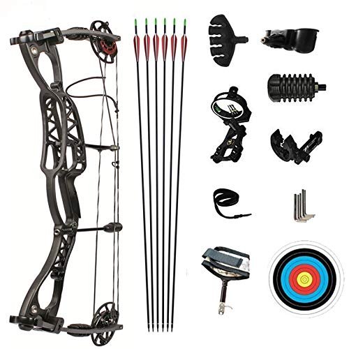 DLGLOBAL Caesar Compound Bow for Hunting with 40-70lbs Draw Weight Archery Set for Outdoor Hunting Shooting Archery M122 Compound Bow