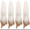 American Mantle Company Inc 7998680 Preformed Inverted Mantle 2/179B Ceramic Ring - For Outdoor Gaslights (Fur Pak) view 1