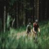 GravelKing SK Knobby Folding Gravel Tires 27.5x2.00 Black/Black view 4