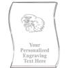 Crown Awards Eagle Wave Acrylic Award, 4" H Personalized Eagle Award, Engraving Included Prime view 1