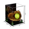 Better Display Cases Versatile Acrylic Display Case - Medium Square with Box with Mirror and Green Risers 11" x 11" x 11" (A001-GRR) view 2