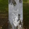 Buck Deer Front Door Window Decal Hunting Gun Cabinet Etched Glass Decals Vinyl Sticker view 4