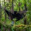 OneTigris KOMPOUND Camping Hammock with Net, Lightweight Portable Hammock with Warm Internal Cover & Tree Friendly Straps for Backpacking, Camping, Hiking, Travel, Beach, Backyard Od Green view 2