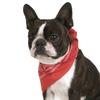 Balec Pack of 2 Paisley Cotton Dog Bandana Triangle Shape - One Size Fits Most view 1
