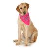 10-Pack Paisley Cotton Dog Scarf Triangle Bibs - XL and Washable (Hot Pink) view 1