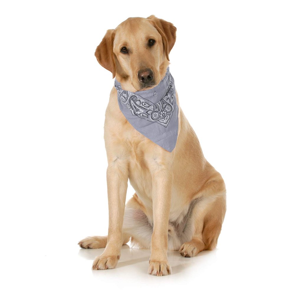 10-Pack Paisley Cotton Dog Scarf Triangle Bibs - XL and Washable (Grey)