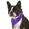 Balec Pack of 2 Paisley Cotton Dog Bandana Triangle Shape - One Size Fits Most view 1