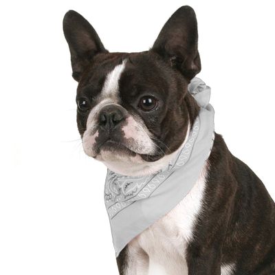 Balec Pack of 2 Paisley Cotton Dog Bandana Triangle Shape - One Size Fits Most