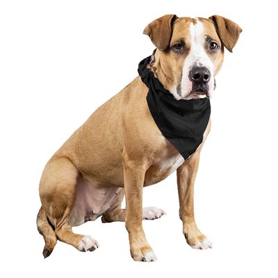 Qraftsy Plain Cotton Pets 5 Pcs Dogs Bandana Triangle Shape - Large Pets (Black)