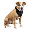 Qraftsy Plain Cotton Pets 5 Pcs Dogs Bandana Triangle Shape - Large Pets (Black) view 1