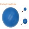 CIZEBO Pilates Ball 8 inch, Small Exercise Ball for Between Knees with Needle Pump for Core Workout & Physical Therapy Yoga PT, Blue view 4