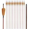 Obert 12Pcs 30 Inch Archery Carbon Arrows for Recurve Bow Compoundbow Spine400/500 with 4" Feathers Fletching & Screw-in Arrow Tips Wood Grain Shaft (Spine500) view 1