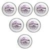 CW Special County Crown Women Cricket Leather Ball Hand Stitched 145gm Approx (Set of 6) view 1