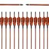 Obert 12pcs Archery Hunting Carbon Arrows 30 Inch with 4" Feathers Fletching & Replaceable Arrow Tips Wood Grain for Recurve/Compound Bow (Spine400) view 1