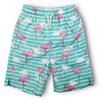 INGEAR Little Boys Quick Dry Swim Trunks UPF 50+ Beach Board Shorts Sizes 2T-14 Vibrant Patterns for Summer Adventures view 1