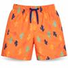 INGEAR Little Boys Quick Dry Swim Trunks UPF 50+ Beach Board Shorts Sizes 2T-14 Vibrant Patterns for Summer Adventures view 1