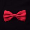 BLESSUME Steampunk Bowtie Gothic Costume Tie Retro Vintage Costume Accessory (Red 2(for adult)) view 3