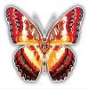 888 Graphics Cheerful Butterfly Golf Hat Clip with Magnetic Ball Marker view 2