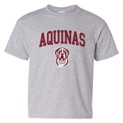 UGP Campus Apparel YS03 - Aquinas Saints Arch Logo Youth T-Shirt - Large - Sport Grey